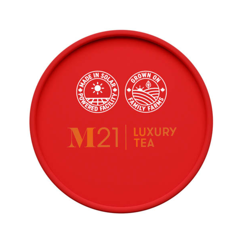 Tega Organic Tea - Thé Noir de Luxe aux Épices de Pomme | Canadien | 24 Sachets de Thé