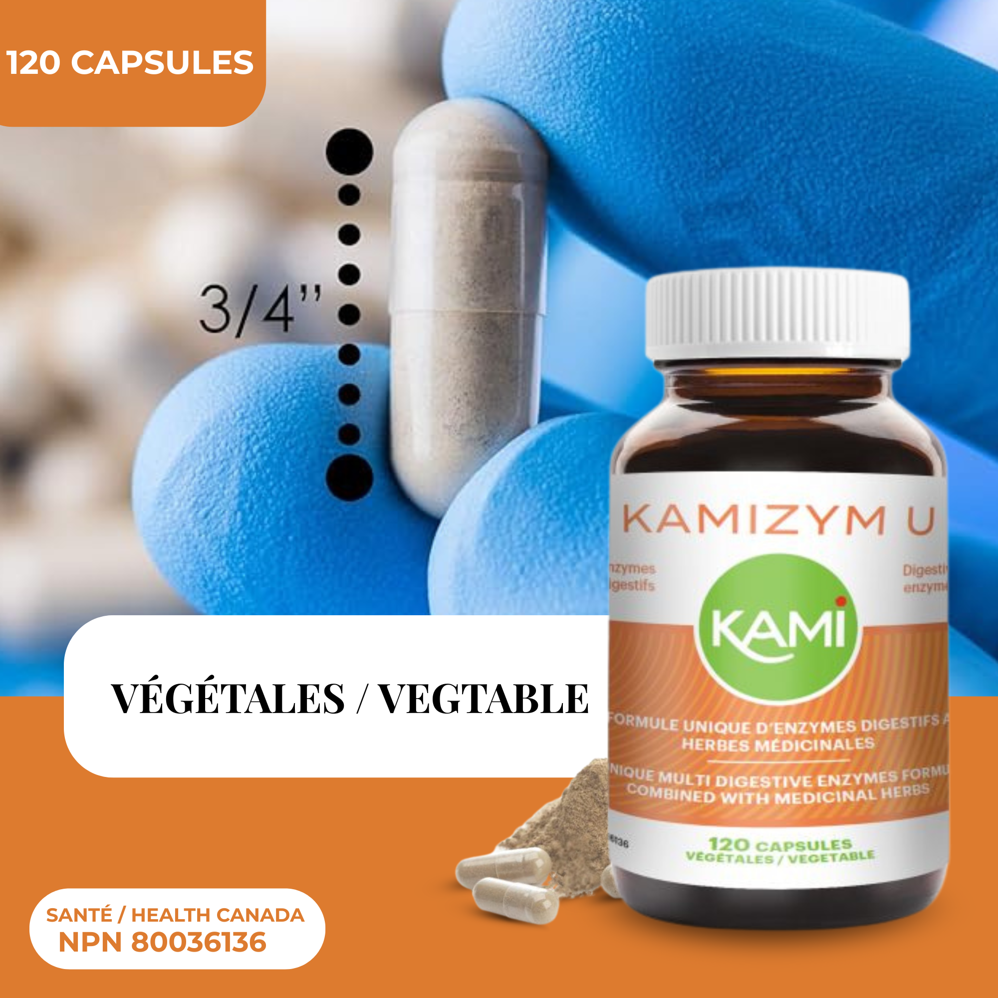 Phytovie - Kamizym-U | Soulagement Brûlures D'estomac | 120 Caps