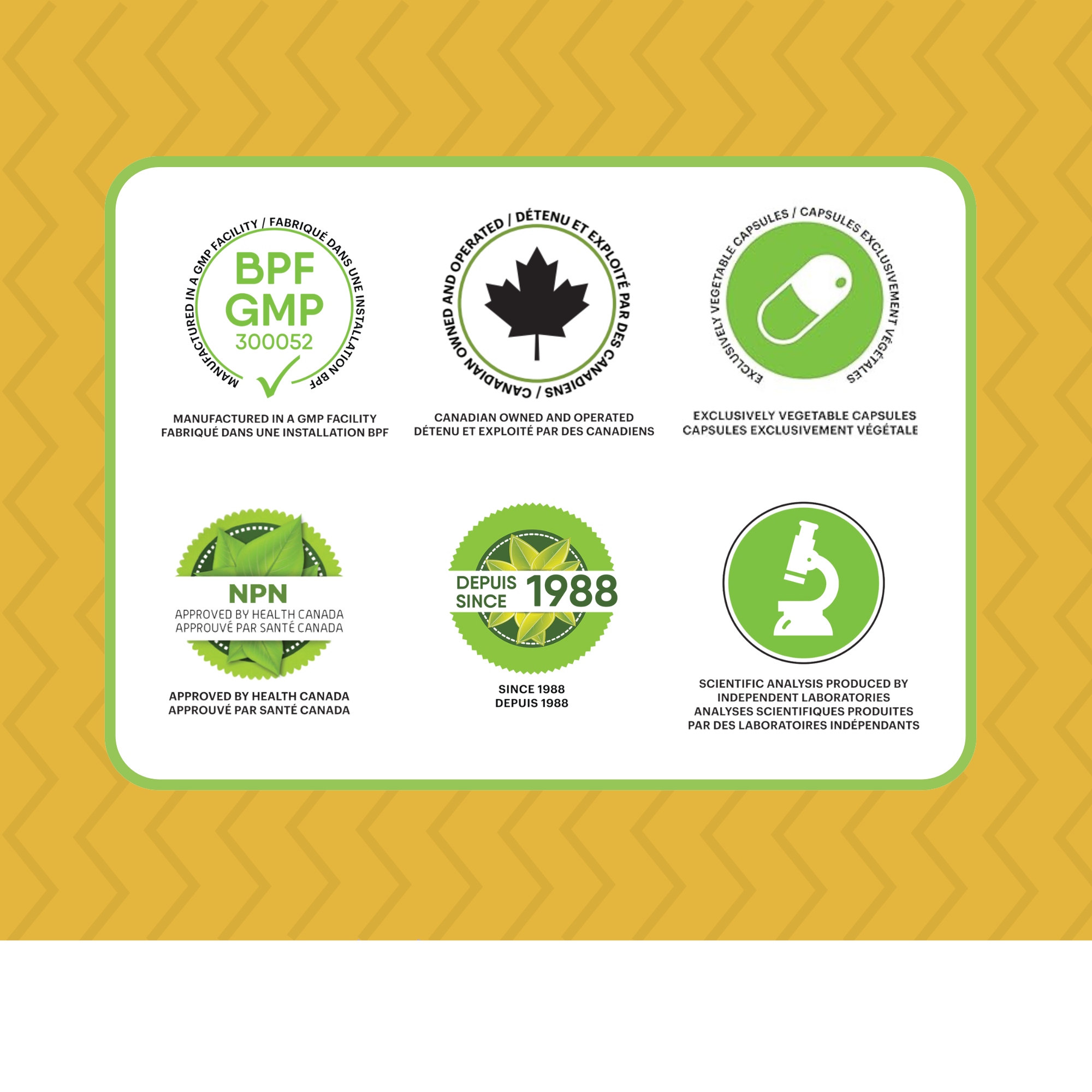 Phytovie - Kamizym-D | Soutien Digestif Après Repas | 120 Capsules