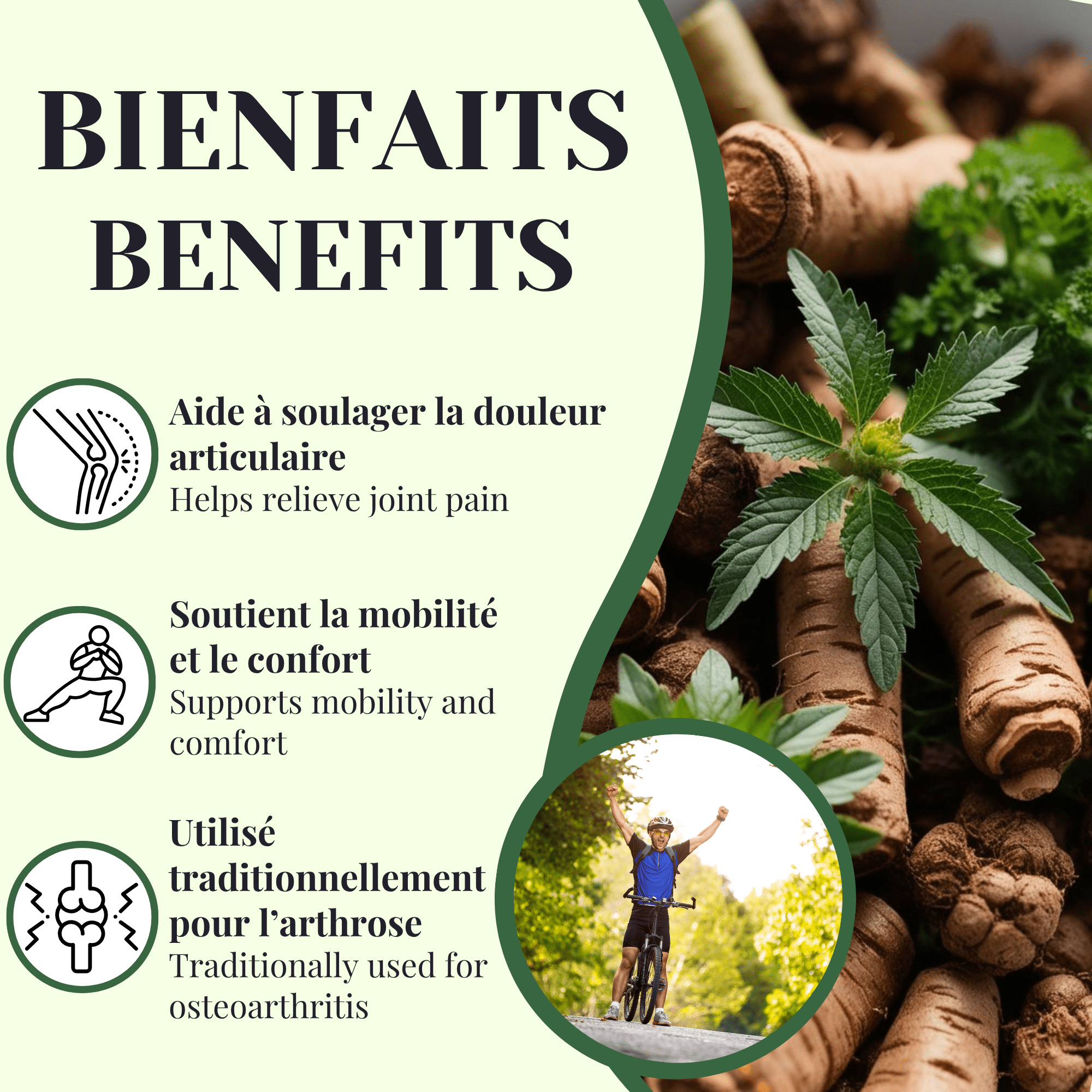 Phytovie - Inflammation | Joint Pain | 50 Sachets