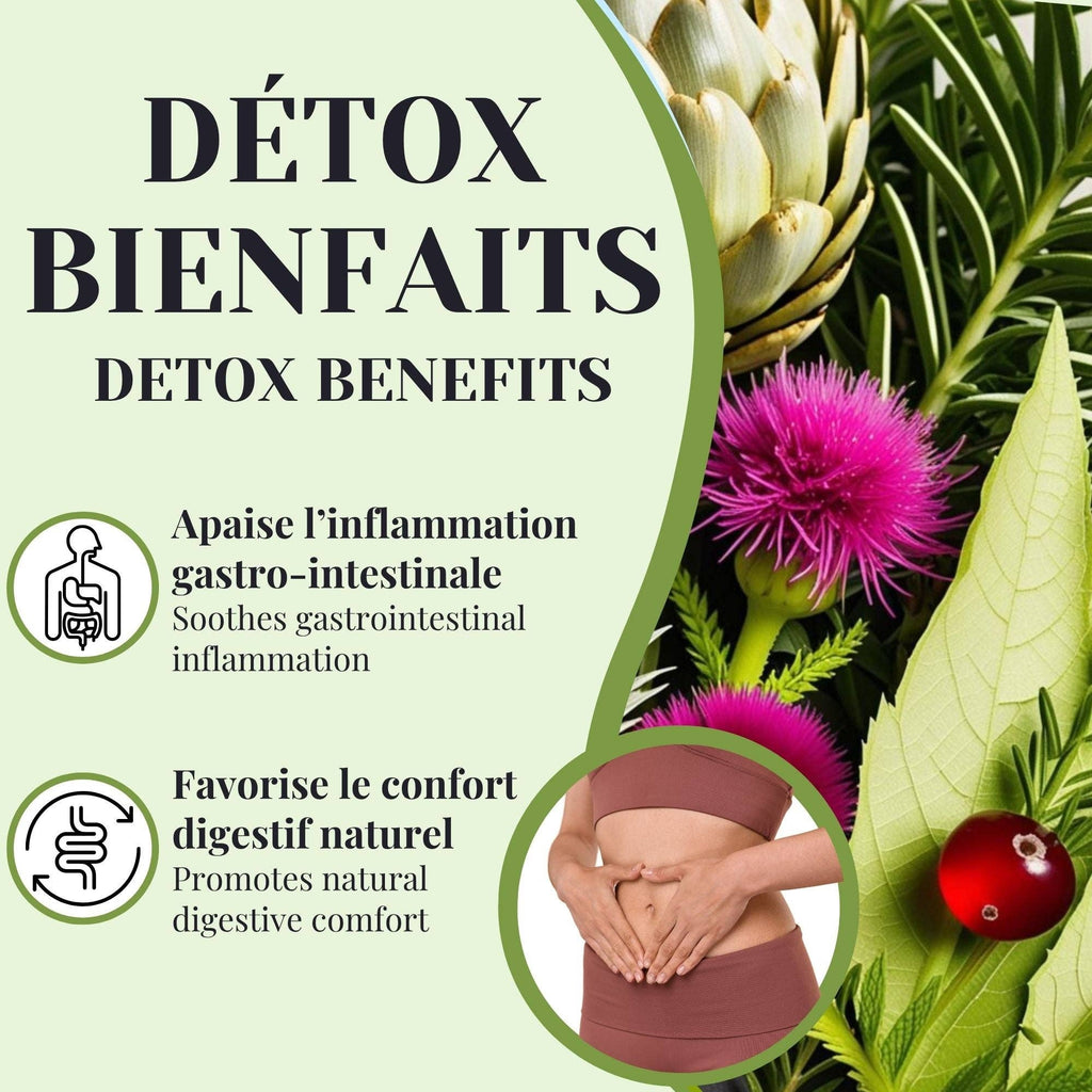 Phytovie - Détox Foie | Équilibre Digestif & Hépatique | 25 Sachets