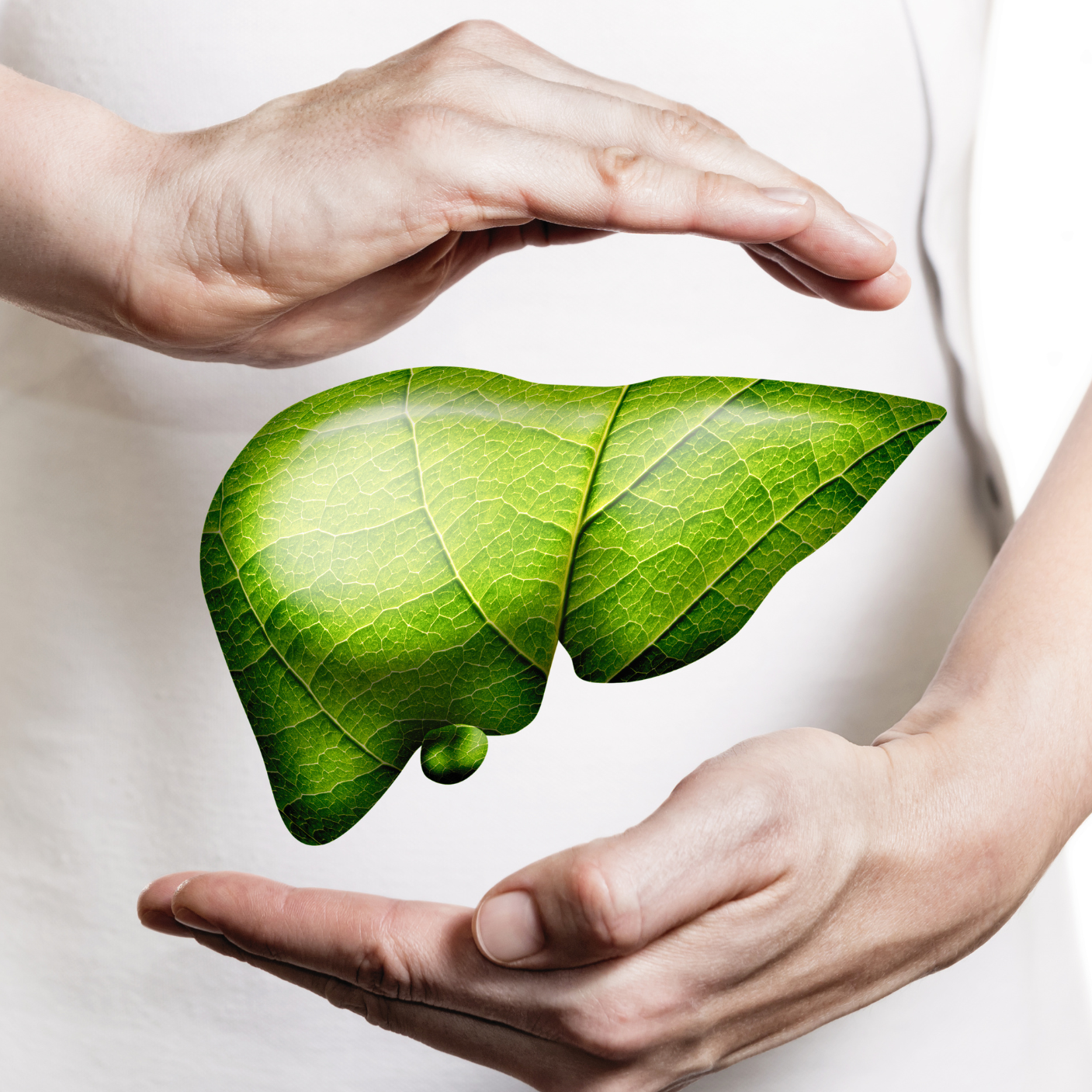 Phytovie - KAMOURAÏ XHP | Santé Du Foie | 60 Capsules