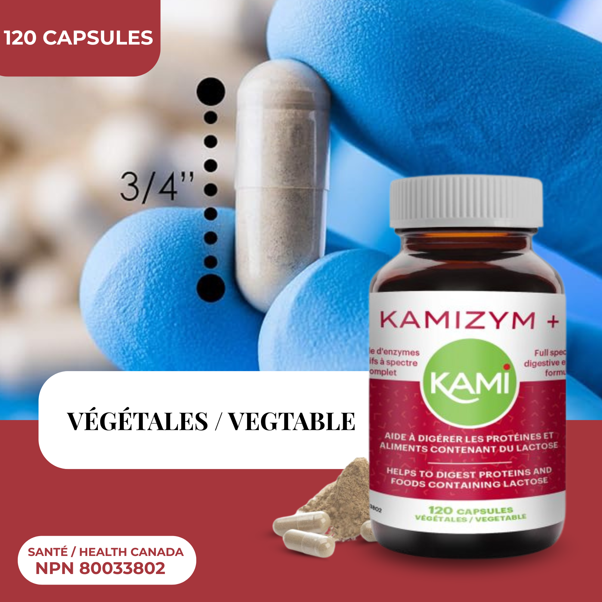 Phytovie - Kamizym + | Digestion, Ballonnements & Gaz Intestinaux