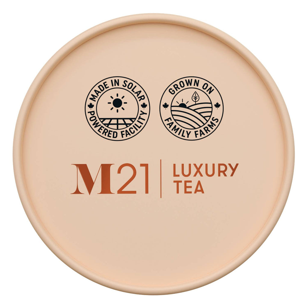 Tega Organic Tea - Thé Noir de Luxe Chai à la Vanille | Canadien | 24 Sachets de Thé