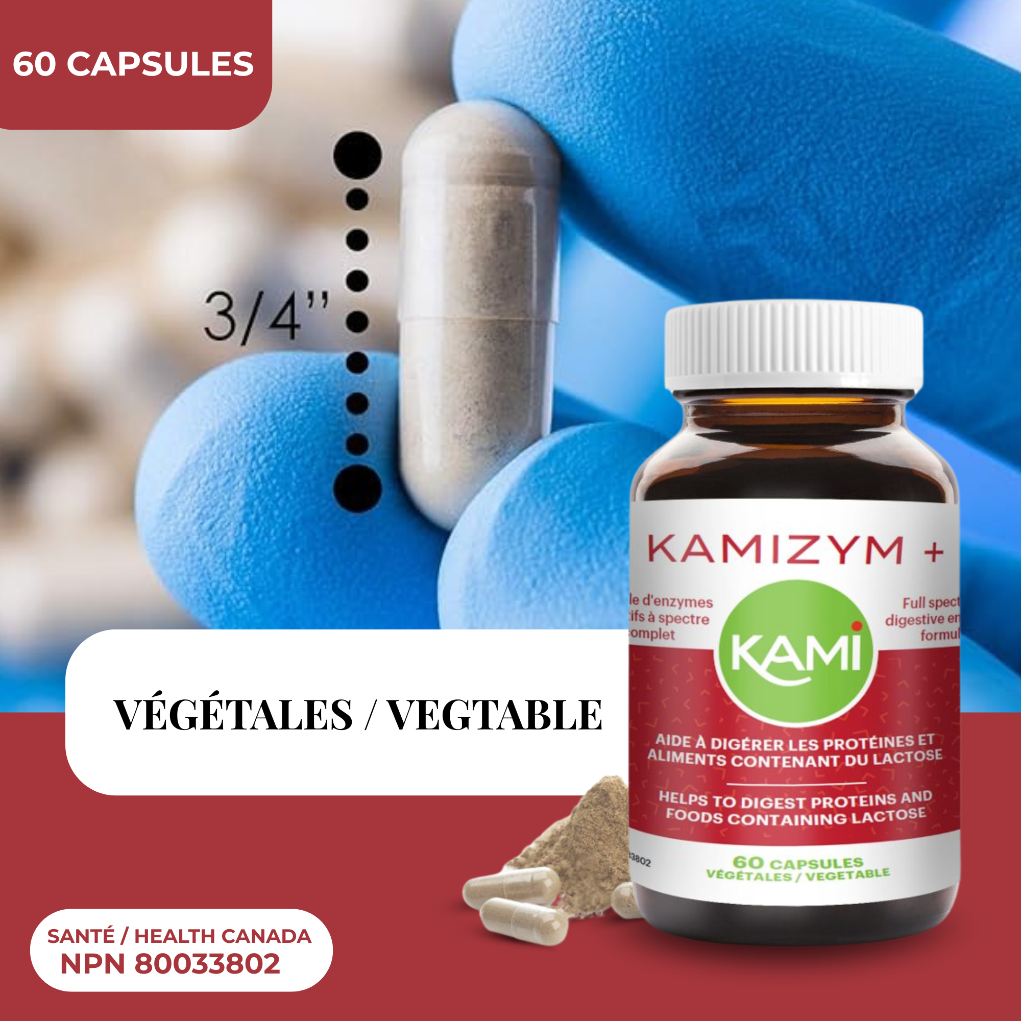 Phytovie - KAMIZYM + | Digestion & Gaz Intestinaux | 60 Capsules