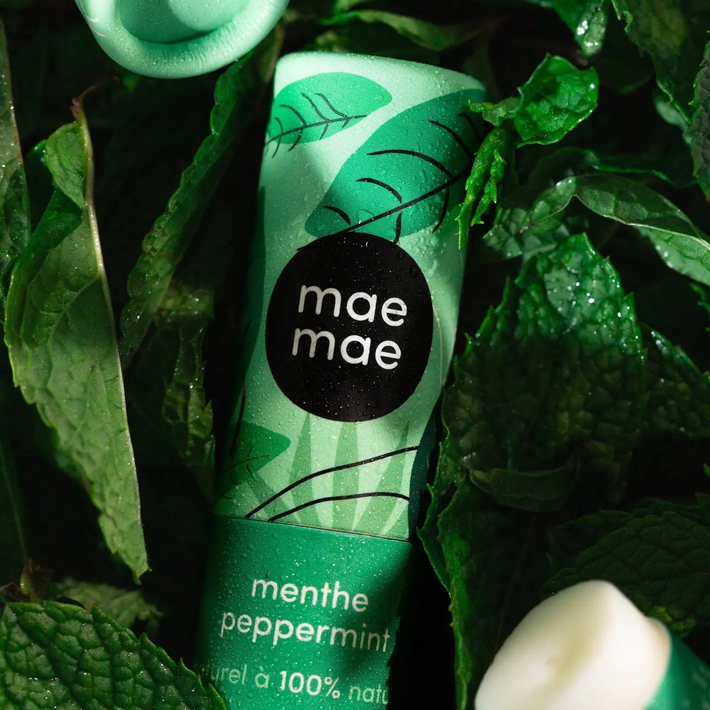 Baume à lèvre à la menthe 100% naturel Phytovie