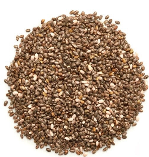 Graines de chia biologies