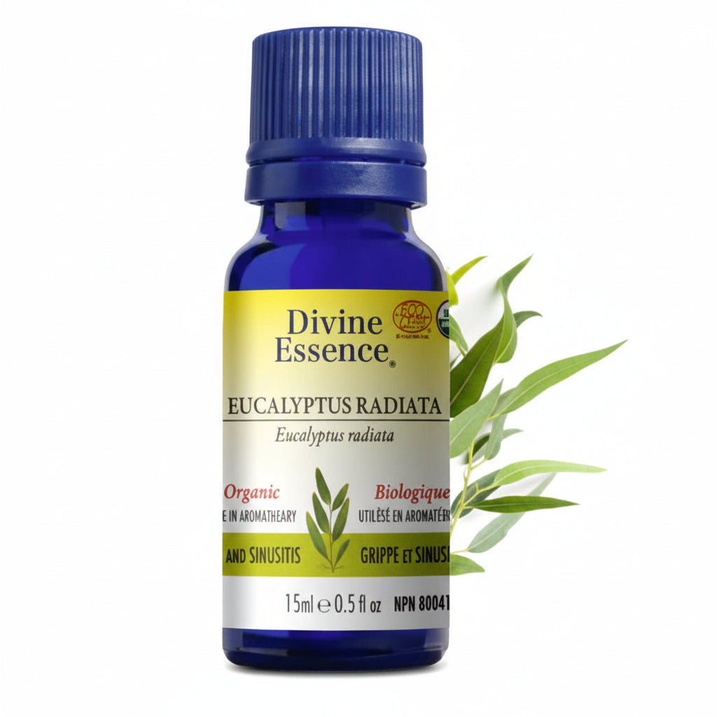 Huille essentielle Eucalyptus radiata bio - Divine Essence 15ml