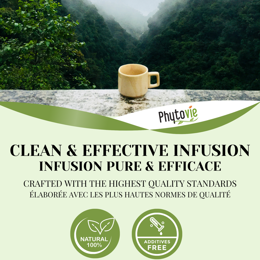 Phytovie - Détox Foie | Équilibre Digestif & Hépatique | 25 Sachets