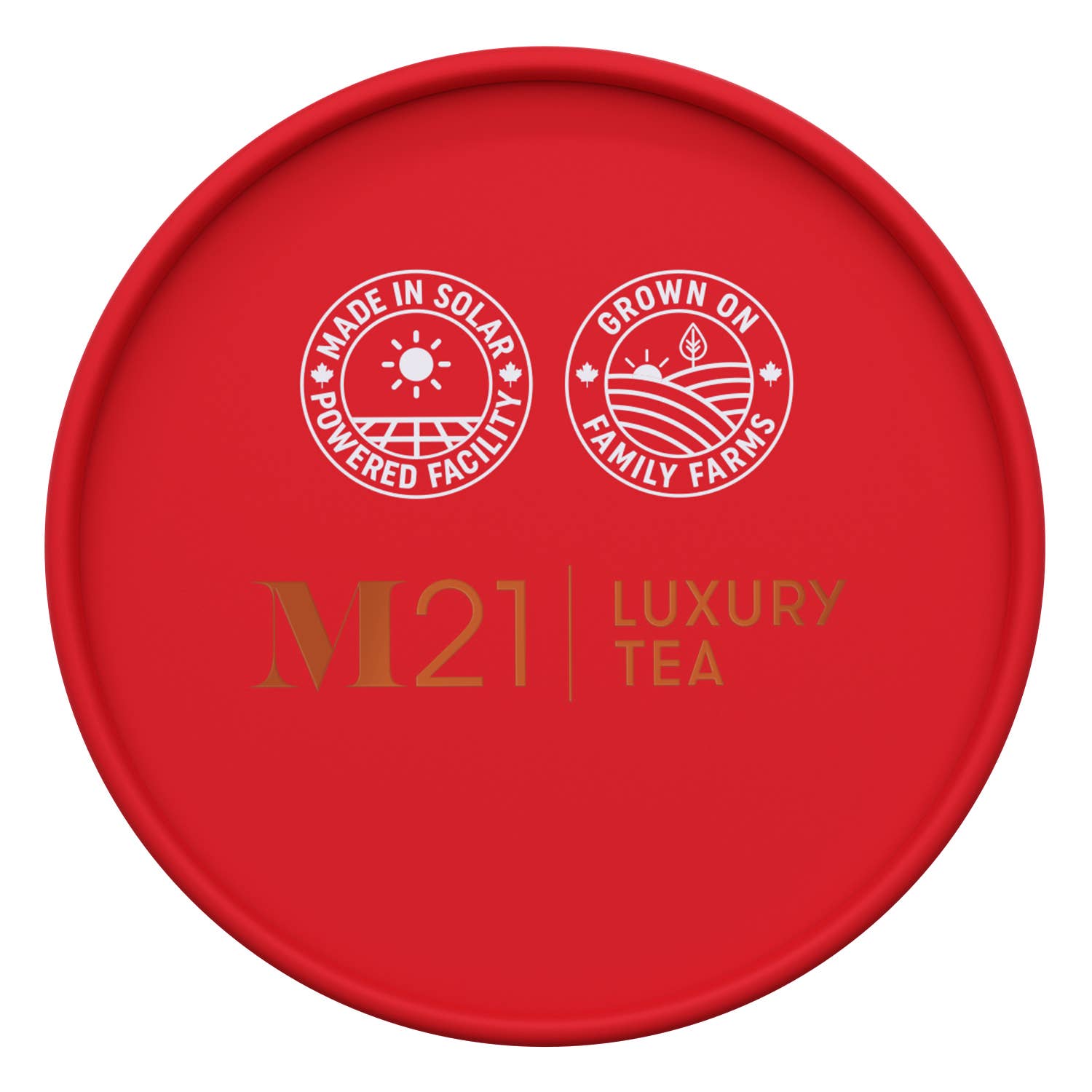 Tega Organic Tea - Thé Noir de Luxe aux Épices d'Hiver | Canadien | 24 Sachets de Thé