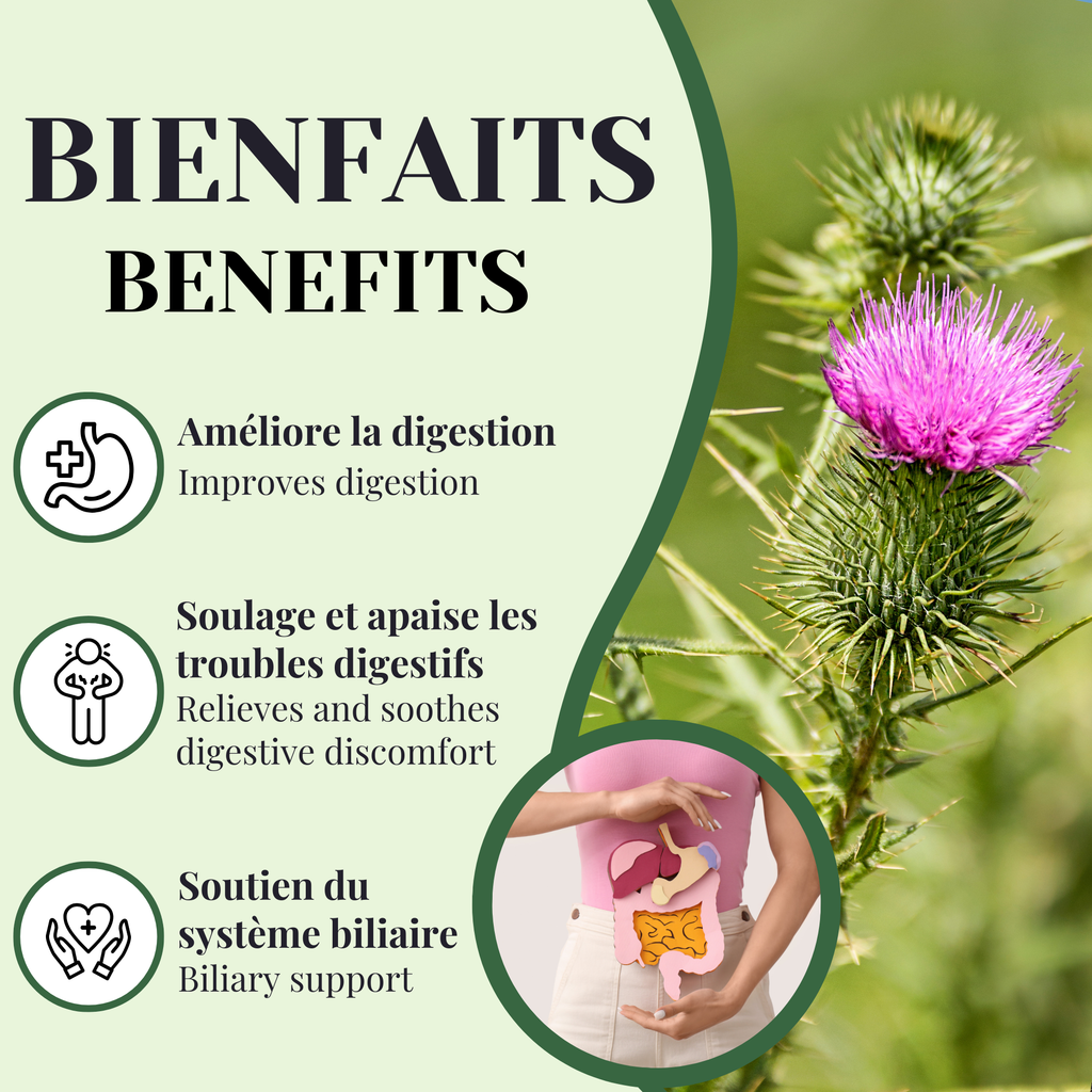 Phytovie - Chardon-Marie | Digestion & Foie | 25 Sachets