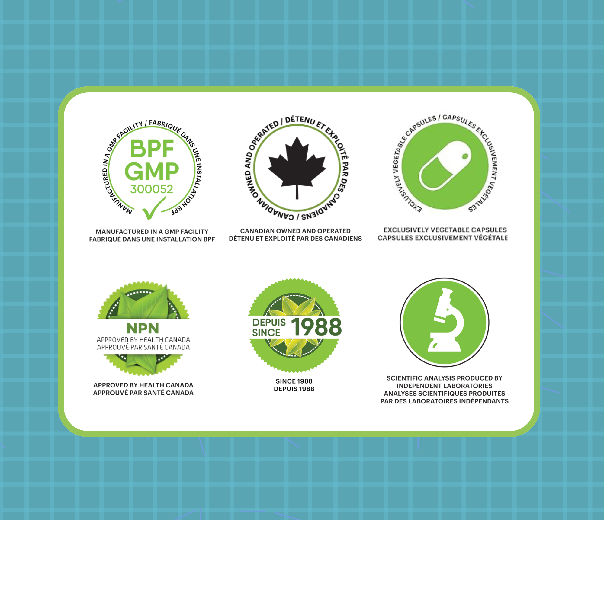 Phytovie - KAMOURAÏ XHP | Santé Du Foie | 60 Capsules