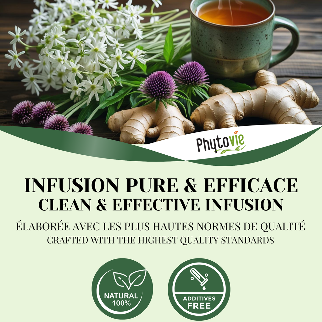 Phytovie - Rhume & Grippe | 25 Sachets