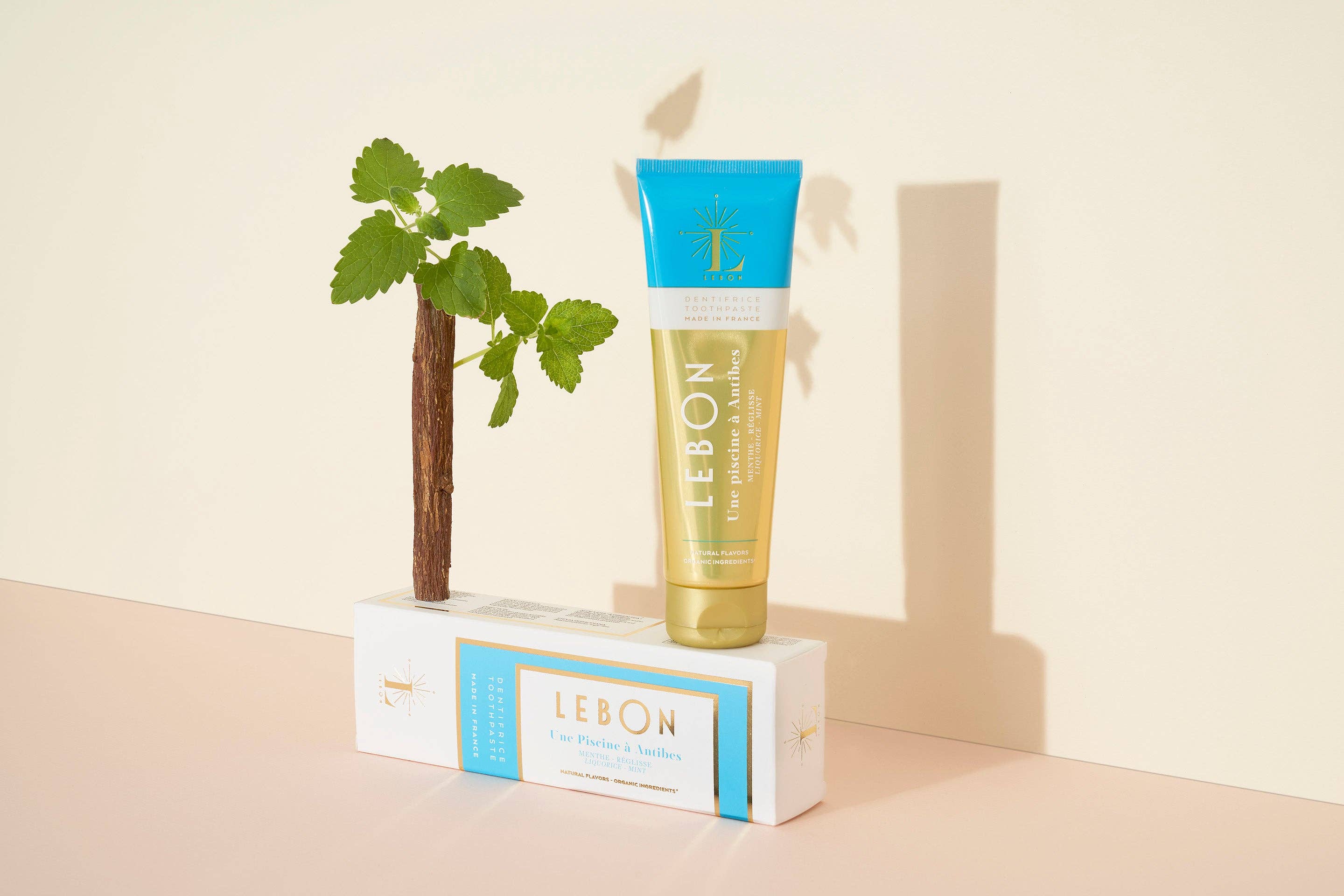 Lebon - Une piscine à Antibes: 75 ML