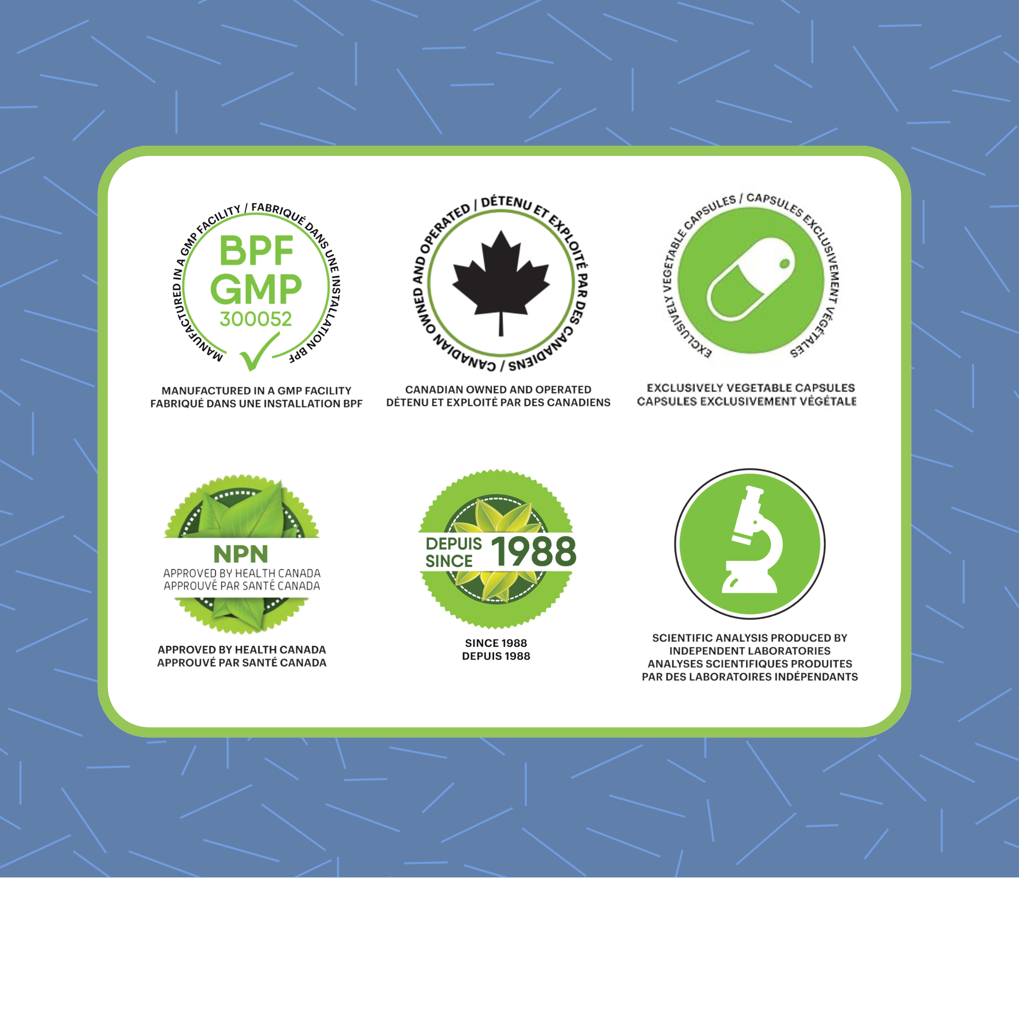 Phytovie - KAMOURAÏ GP | Mémoire & Circulation | 60 Capsules