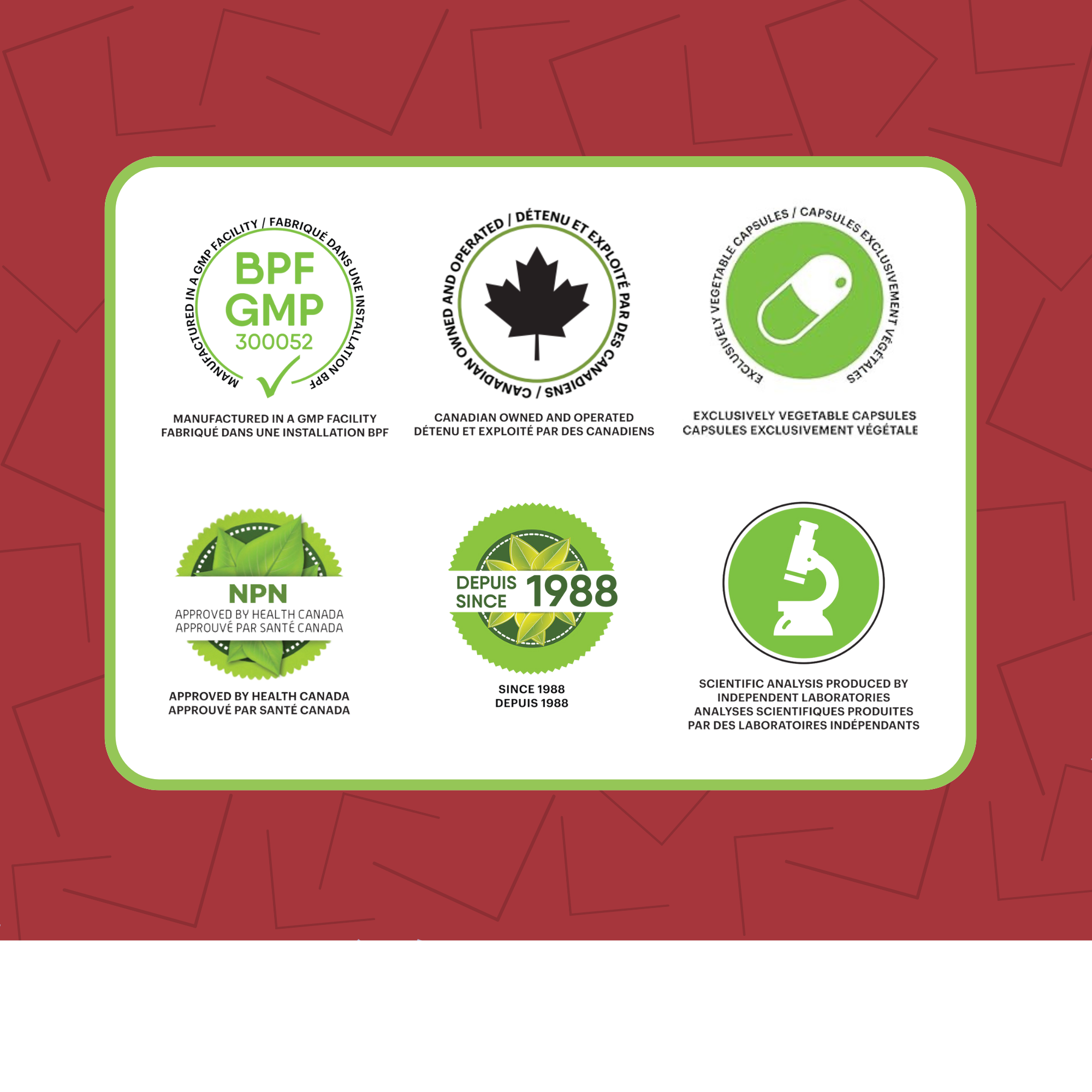 Phytovie - KAMIZYM + | Digestion & Gaz Intestinaux | 60 Capsules