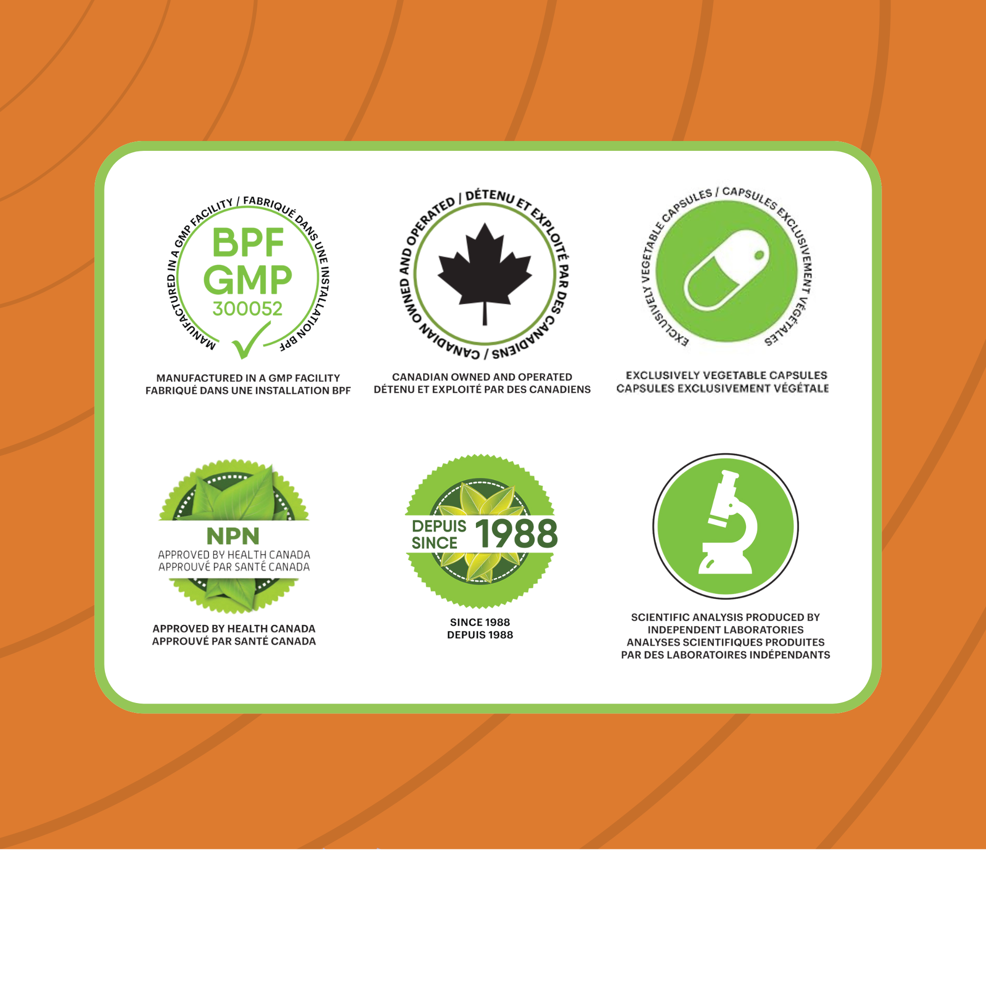 Phytovie - KAMIZYM-U | Soulagement Des Brûlures D'estomac | 60 Capsules